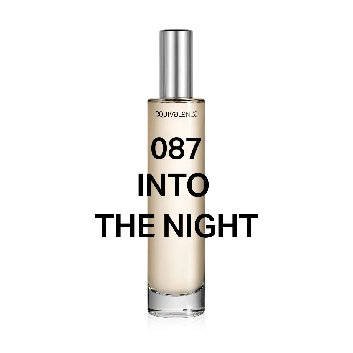 087 Into The Night - Image 2