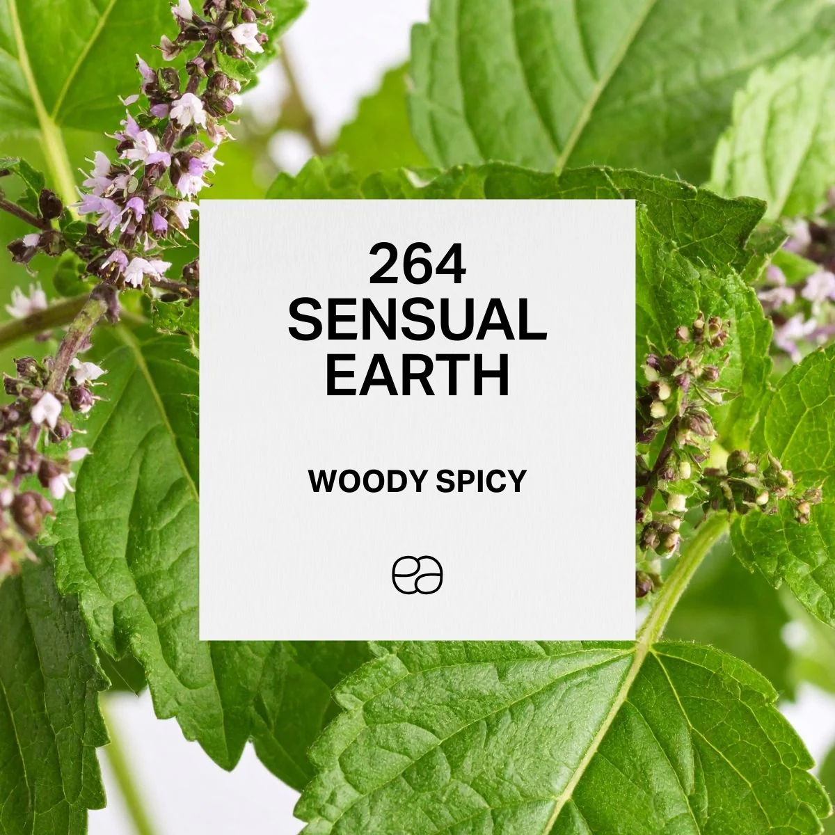 264 Sensual Earth