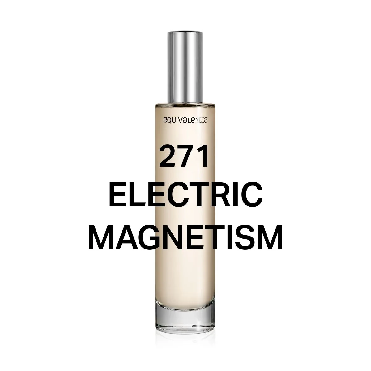 271 Electric Magnetism - Image 2