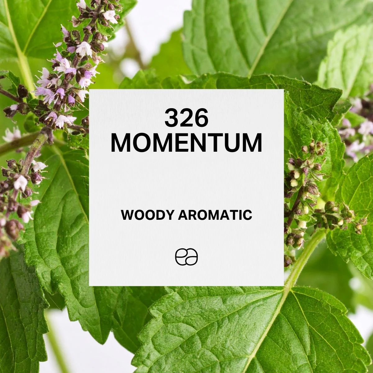 326 Momentum