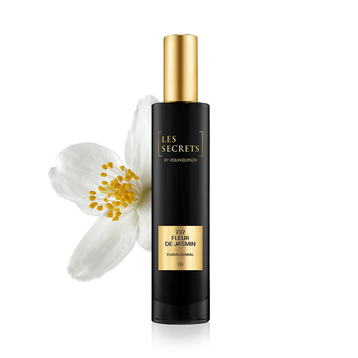 737 Fleur de Jasmin