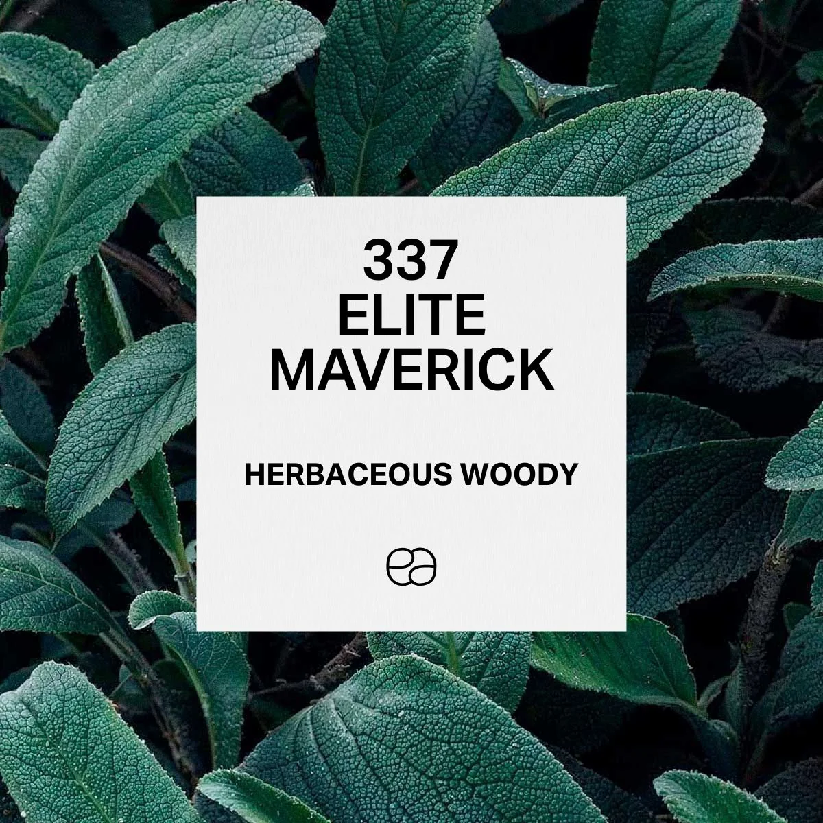337 Elite Maverick